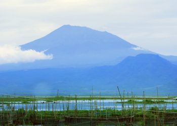 Menikmati Sejuknya Udara di Rawa Pening