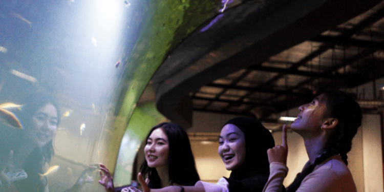 Aquarium Indonesia Kini Ada di Pangandaran