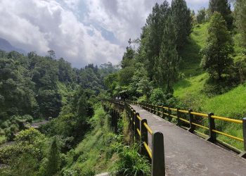 Obyek Wisata Alam Plunyon Kalikuning Telah Dibuka Kembali