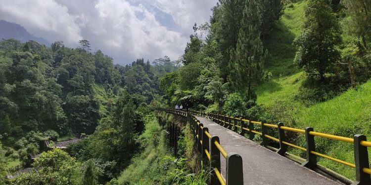 Obyek Wisata Alam Plunyon Kalikuning Telah Dibuka Kembali