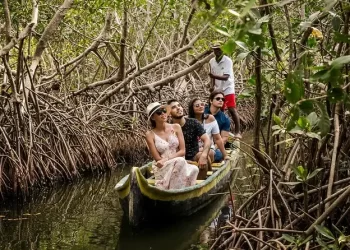 Taman Bakau Biak, Dongkrak Ekonomi dan Jaga Ekosistem Pantai