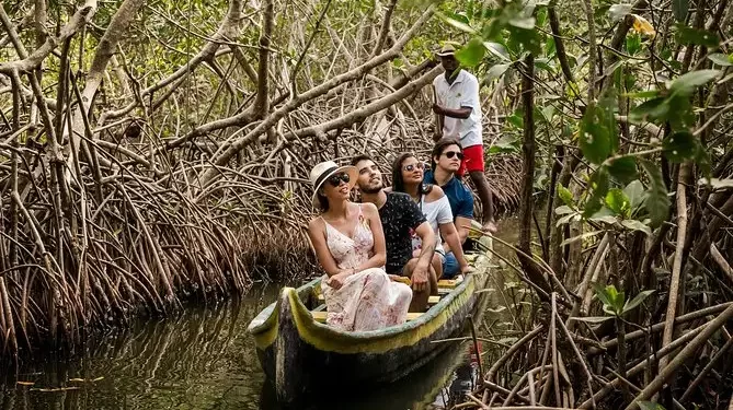 Taman Bakau Biak, Dongkrak Ekonomi dan Jaga Ekosistem Pantai