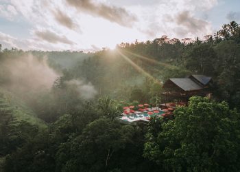 Pilihan Resor Mewah untuk Menikmati Forest Bathing di Indonesia