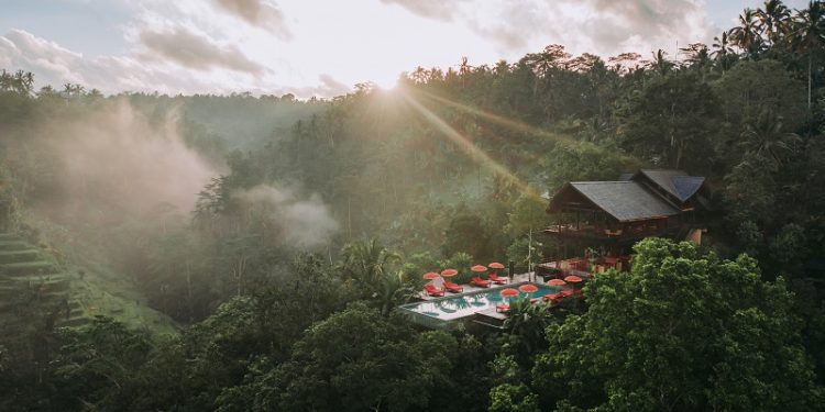 Pilihan Resor Mewah untuk Menikmati Forest Bathing di Indonesia