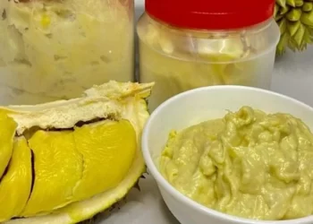 Tempoyak Durian, Kuliner Tradisional dengan Rasa khas yang Menggoda