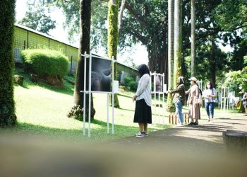 Kemenparekraf Dukung Pelaksanaan Jakarta International Photo Festival 2023