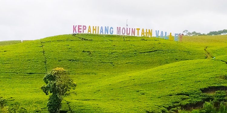 Kesejukan Agrowisata Kebun Teh Kabawetan di Kabupaten Kepahiang