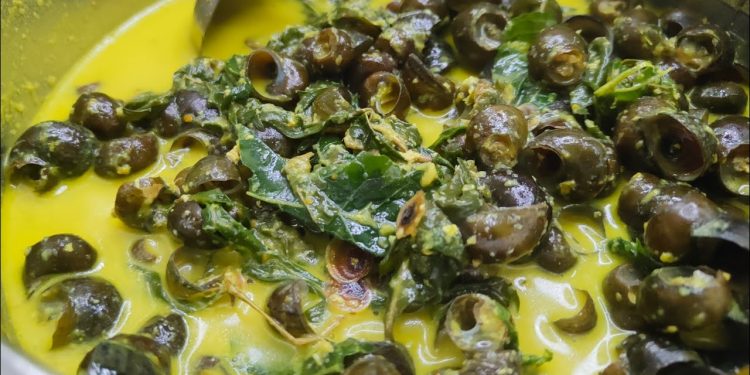 Siput Masak Gulai, Sensasi Kelezatan Kuliner Tradisional Riau