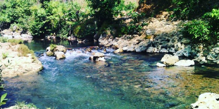 Sumber Mata Air Krawak, Objek Wisata Alam di Tuban