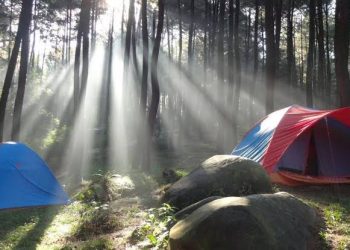 Sensasi Bertamasya di Hutan Pinus Gunung Pancar Sentul