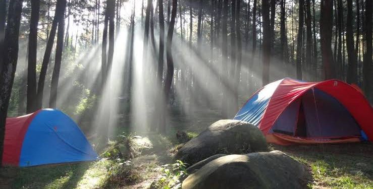 Sensasi Bertamasya di Hutan Pinus Gunung Pancar Sentul