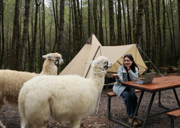 Tangkal Pinus Lembang, Destinasi Wisata Terbaru di Bandung Barat