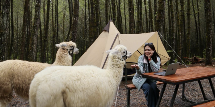 Tangkal Pinus Lembang, Destinasi Wisata Terbaru di Bandung Barat