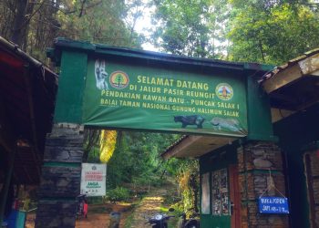 Berikut Tarif Baru Taman Nasional Gunung Halimun Salak