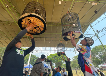 Berikut 5 Event di Solo Sepanjang November 2024