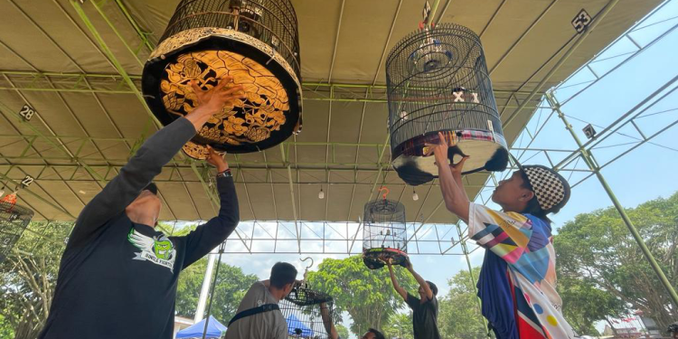 Berikut 5 Event di Solo Sepanjang November 2024