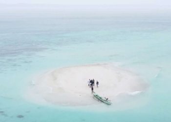 Pesona Pulau Pasir Timbul di Perairan Maluku