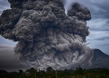 Dampak Letusan Gunung Lewotobi Laki-Laki, BNPB: 4.088 Jiwa Mengungsi