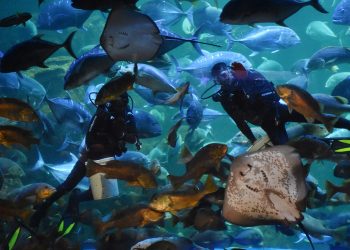 Momentum Liburan Sekolah, Ancol Targetkan 680 Ribu Pengunjung