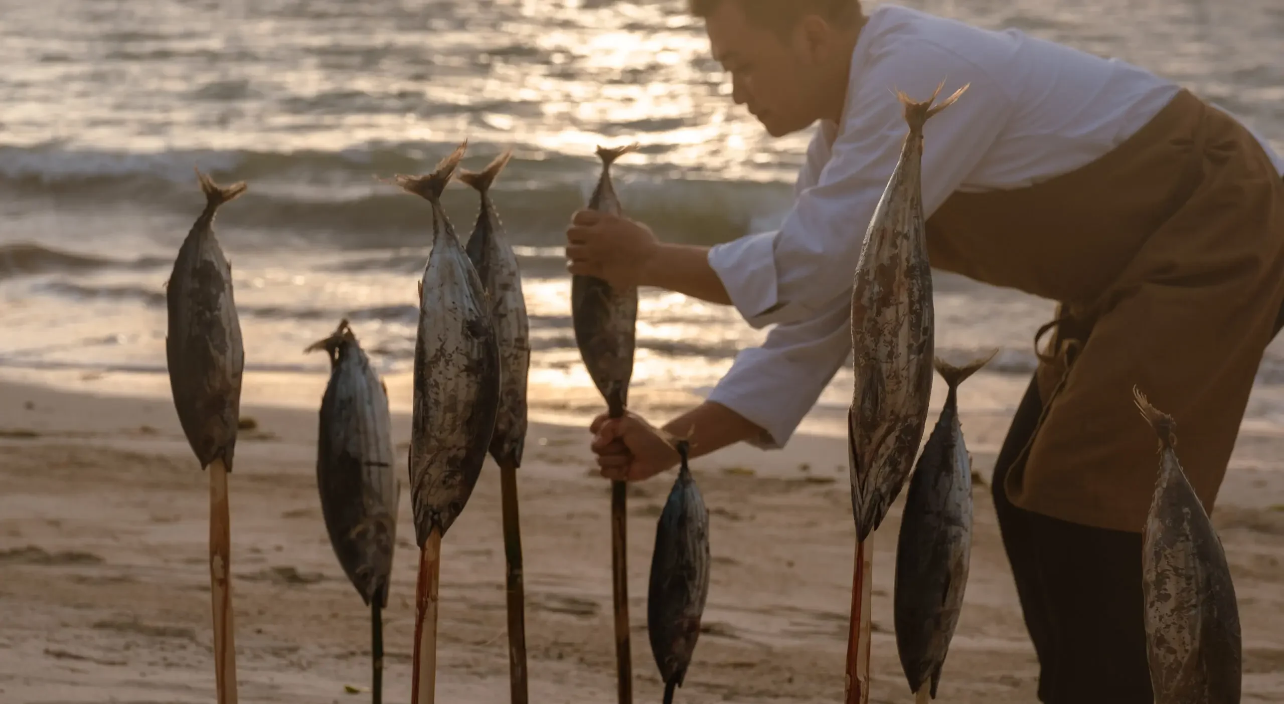 DSCF0769 scaled 1 e1765260801573