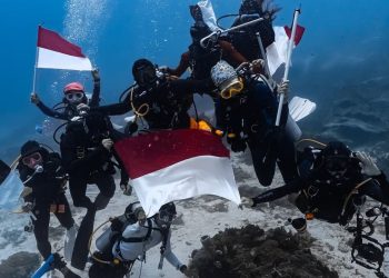 Indonesia Perluas Pasar Wisata Selam Maratua ke Asia Tenggara