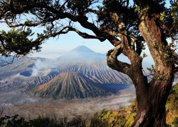 Kawasan Bromo Kembali Terbakar, Api Mendekati Jembatan Kaca 